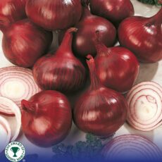 8718641999301 1 Onion Red Baron.jpg